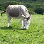 아파트 Farm
