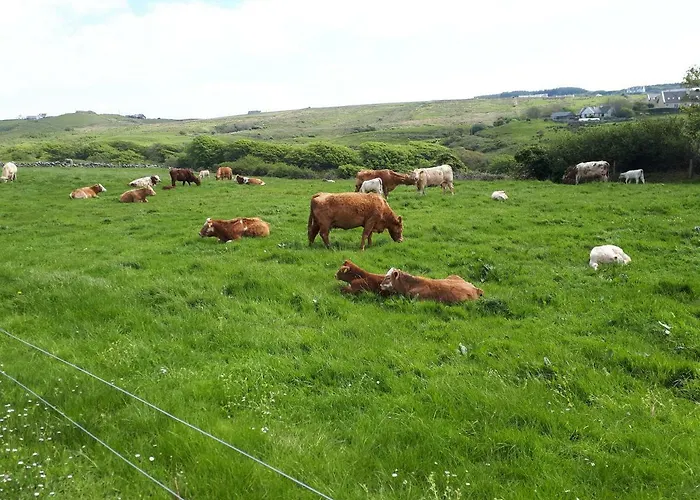 Lejlighed Farm