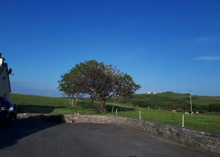 Farm Doolin